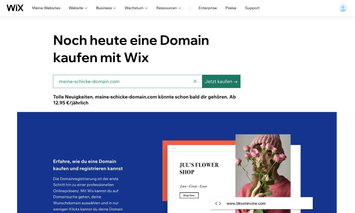 WIX Domaincheck Screenshot