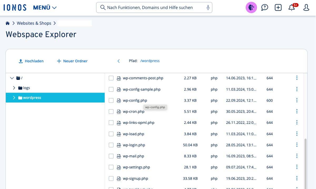 IONOS WP Config