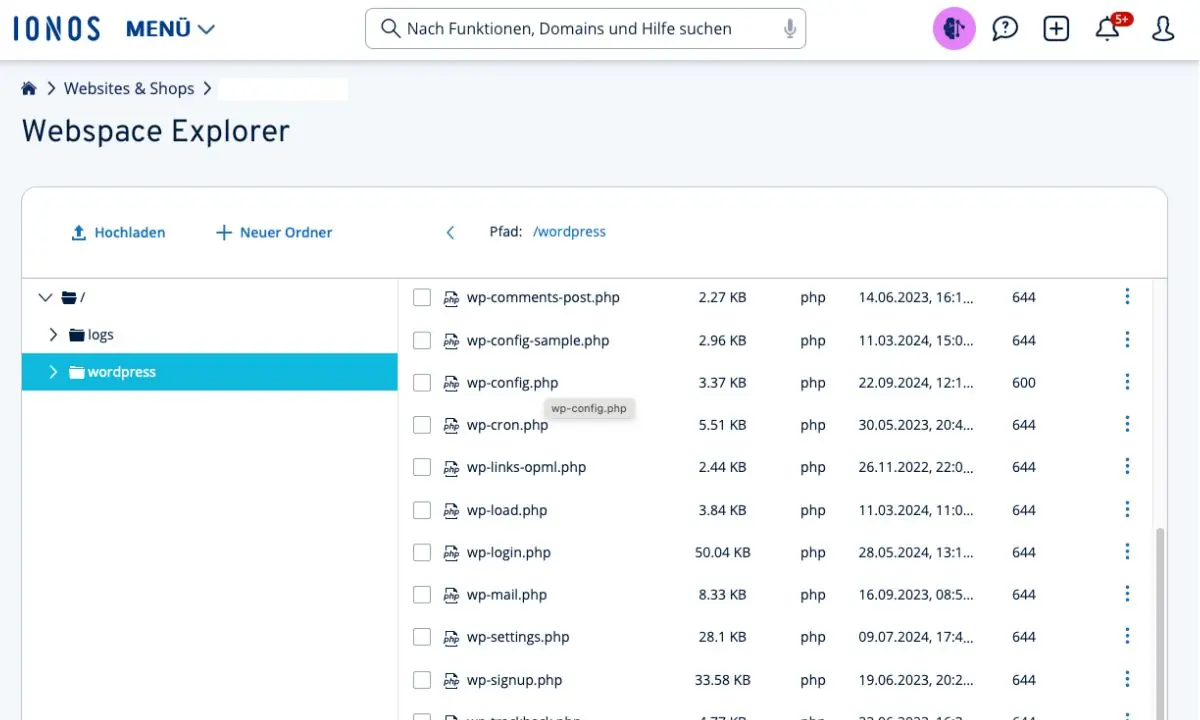 IONOS WP Config